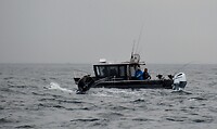 CV1_9146