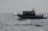 CV1_9141