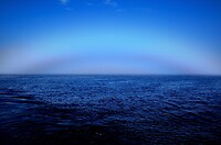 Fogbow