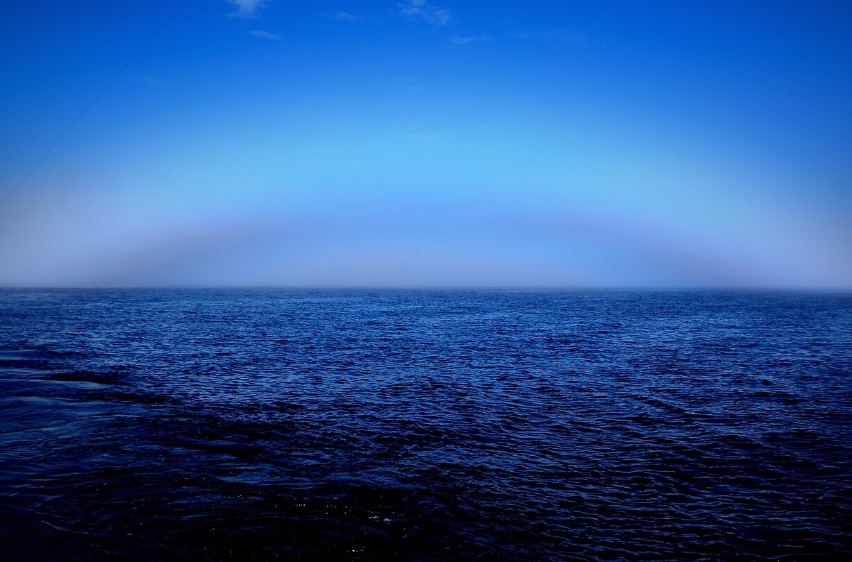 Fogbow