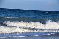 DSC_0016