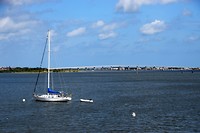 DSC_0029