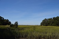 DSC_0010