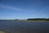 DSC_0020