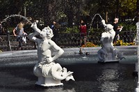 DSC_0050