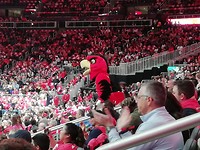 IMG_20191026_194359
