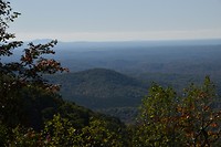 DSC_0006
