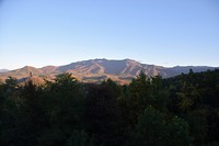 DSC_0094