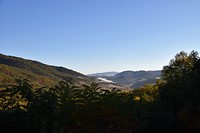 DSC_0008