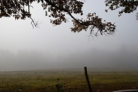 DSC_0012