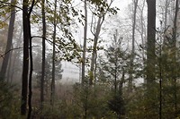 DSC_0016
