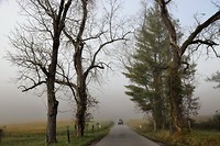 DSC_0023