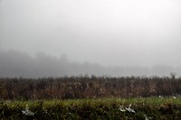 DSC_0035