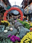 IMG_20191028_182430