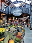 IMG_20191028_182447