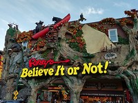 IMG_20191028_182744
