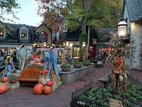 IMG_20191028_184253