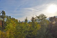 DSC_0002
