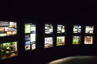 DSC_0077