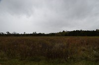 DSC_0061
