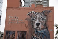 DSC_0156