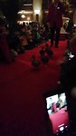 The Peabody Ducks