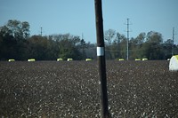 DSC_0193