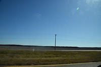 DSC_0195