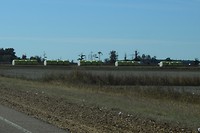 DSC_0197