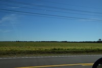 DSC_0203