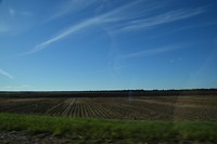 DSC_0209