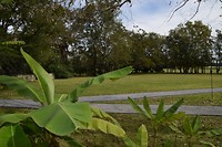 DSC_0041