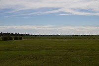 DSC_0047