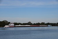 DSC_0019