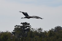 DSC_0028