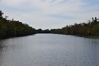 DSC_0030
