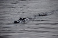 DSC_0034
