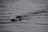 DSC_0035