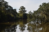 DSC_0053