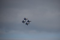 DSC_0209