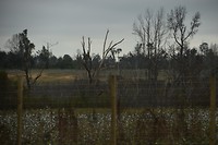DSC_0015
