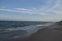 DSC_0021