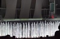 DSC_0062