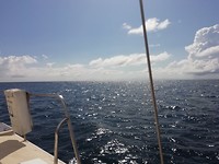 IMG_20191111_094055
