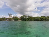 IMG_20191111_112833