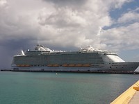 IMG_20191112_142823