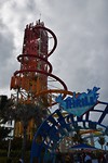 DSC_0019