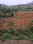 IMG_0511