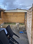 IMG_3348