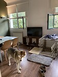 IMG_3365